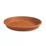 Πιάτα Γλάστρας