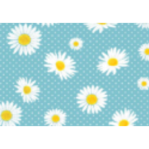 ΔΙΑΔΡΟΜΟΣ FROXY 65x15m VC1060-VC3104 - Image 10