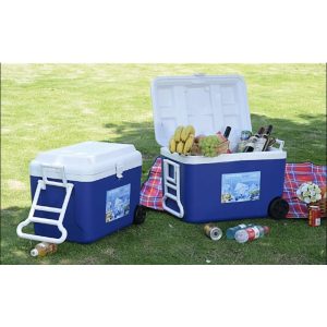 ΨΥΓΕΙΟ ΠΛΑΣΤΙΚΟ ΜΕ ΡΟΔΕΣ VC1994-2 60L 40x62x45cm VIOSARP - Image 13