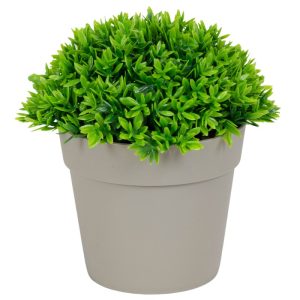 ΤΕΧΝΗΤΟ ΦΥΤΟ GREEN ΣΕ ΓΛΑΣΤΡΑΚΙ 12x13cm No43423 - Image 2