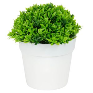 ΤΕΧΝΗΤΟ ΦΥΤΟ GREEN ΣΕ ΓΛΑΣΤΡΑΚΙ 12x13cm No43423 - Image 3