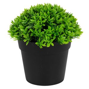 ΤΕΧΝΗΤΟ ΦΥΤΟ GREEN ΣΕ ΓΛΑΣΤΡΑΚΙ 12x13cm No43423 - Image 4