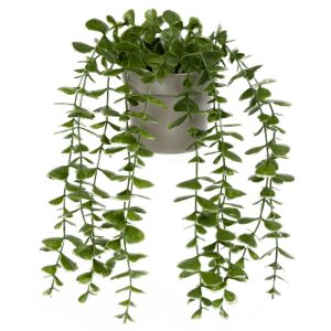 ΤΕΧΝΗΤΟ ΦΥΤΟ EUCALYPTUS ΣΕ ΓΛΑΣΤΡΑΚΙ 16x26cm No43447 - Image 2