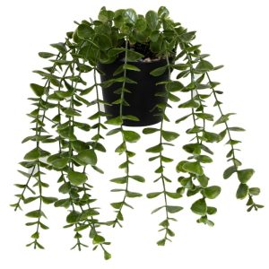 ΤΕΧΝΗΤΟ ΦΥΤΟ EUCALYPTUS ΣΕ ΓΛΑΣΤΡΑΚΙ 16x26cm No43447 - Image 3