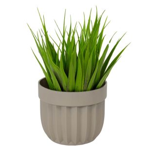 ΤΕΧΝΗΤΟ ΦΥΤΟ GRASS ΣΕ ΓΛΑΣΤΡΑΚΙ 9x17cm No43478 - Image 2
