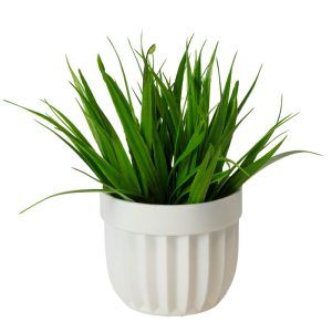 ΤΕΧΝΗΤΟ ΦΥΤΟ GRASS ΣΕ ΓΛΑΣΤΡΑΚΙ 9x17cm No43478 - Image 4