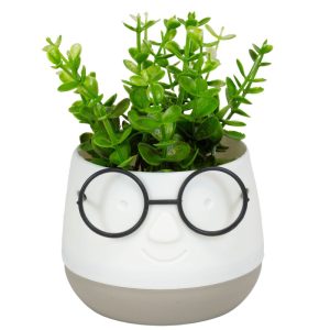 ΤΕΧΝΗΤΟ ΦΥΤΟ FACE WITH GLASSES ΣΕ ΓΛΑΣΤΡΑΚΙ 10x13cm No45021 - Image 2