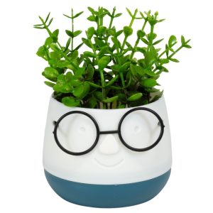ΤΕΧΝΗΤΟ ΦΥΤΟ FACE WITH GLASSES ΣΕ ΓΛΑΣΤΡΑΚΙ 10x13cm No45021 - Image 3