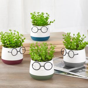 ΤΕΧΝΗΤΟ ΦΥΤΟ FACE WITH GLASSES ΣΕ ΓΛΑΣΤΡΑΚΙ 10x13cm No45021 - Image 4
