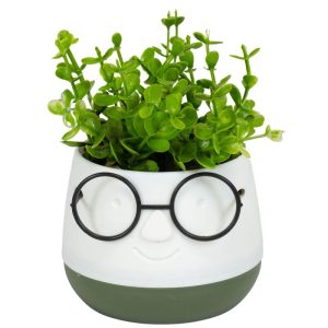 ΤΕΧΝΗΤΟ ΦΥΤΟ FACE WITH GLASSES ΣΕ ΓΛΑΣΤΡΑΚΙ 10x13cm No45021 - Image 5
