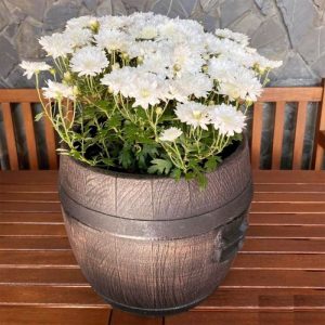 ΓΛΑΣΤΡΑ ΚΑΣΠΩ ΤΥΠΟΥ ΒΑΡΕΛΙ BOLERO SMALL 33x30cm - Image 4