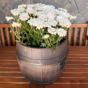 ΓΛΑΣΤΡΑ ΚΑΣΠΩ ΤΥΠΟΥ ΒΑΡΕΛΙ BOLERO LARGE 45x40cm - Image 4