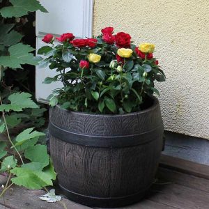 ΓΛΑΣΤΡΑ ΚΑΣΠΩ ΤΥΠΟΥ ΒΑΡΕΛΙ BOLERO LARGE 45x40cm - Image 5