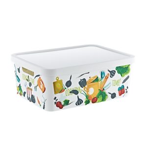 ΚΟΥΤΙ ΑΠΟΘΗΚΕΥΣΗΣ ΜΕ ΣΧΕΔΙΑ TRN-237 4,5L 17.8x25.8x11cm VIOSARP - Image 1