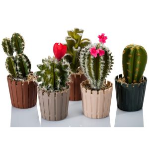 ΓΛΑΣΤΡΑΚΙ AKASYA CACTUS PASTEL 10cm AK85-FM 9.5x9.5cm - Image 1