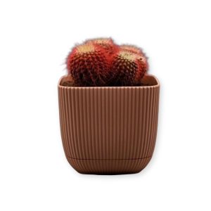 ΓΛΑΣΤΡΑKI ΓΙΑ ΚΑΚΤΑΚΙ ΤΕΤΡΑΓΩΝΟ CORAL No383 1.8L 15x15x13cm ΜΕ ΠΙΑΤΟ - Image 2