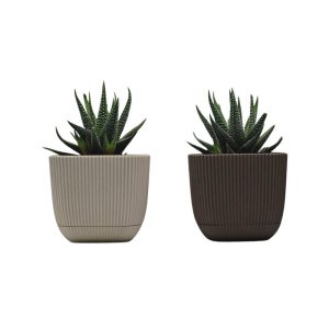 ΓΛΑΣΤΡΑKI ΓΙΑ ΚΑΚΤΑΚΙ ΤΕΤΡΑΓΩΝΟ CORAL No383 1.8L 15x15x13cm ΜΕ ΠΙΑΤΟ - Image 3