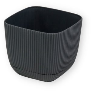 ΓΛΑΣΤΡΑKI ΓΙΑ ΚΑΚΤΑΚΙ ΤΕΤΡΑΓΩΝΟ CORAL No383 1.8L 15x15x13cm ΜΕ ΠΙΑΤΟ - Image 13