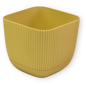 ΓΛΑΣΤΡΑKI ΓΙΑ ΚΑΚΤΑΚΙ ΤΕΤΡΑΓΩΝΟ CORAL No383 1.8L 15x15x13cm ΜΕ ΠΙΑΤΟ - Image 17