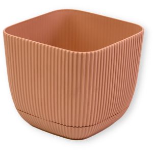 ΓΛΑΣΤΡΑKI ΓΙΑ ΚΑΚΤΑΚΙ ΤΕΤΡΑΓΩΝΟ CORAL No383 1.8L 15x15x13cm ΜΕ ΠΙΑΤΟ - Image 19