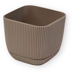 ΓΛΑΣΤΡΑKI ΓΙΑ ΚΑΚΤΑΚΙ ΤΕΤΡΑΓΩΝΟ CORAL No383 1.8L 15x15x13cm ΜΕ ΠΙΑΤΟ - Image 21