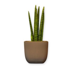 ΓΛΑΣΤΡΑKI ΓΙΑ ΚΑΚΤΑΚΙ ΤΕΤΡΑΓΩΝΟ CORAL No383 1.8L 15x15x13cm ΜΕ ΠΙΑΤΟ - Image 6