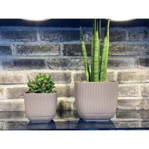 ΓΛΑΣΤΡΑKI ΓΙΑ ΚΑΚΤΑΚΙ ΤΕΤΡΑΓΩΝΟ CORAL No383 1.8L 15x15x13cm ΜΕ ΠΙΑΤΟ - Image 10