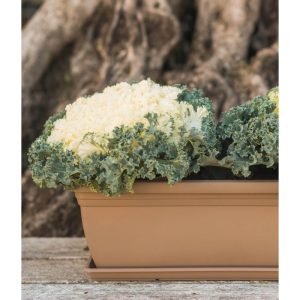 ΖΑΡΤΙΝΙΕΡΑ MOJITO 60cm TERACOTA VIOSARP - Image 2