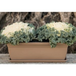 ΖΑΡΤΙΝΙΕΡΑ MOJITO ΦΑΡΔΙΑ 60cm ΜΟΚΑ VIOSARP - Image 2